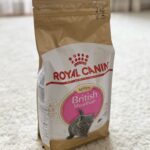 royalcanin_britishshorthair